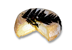 Tomme de brebis à la fougère