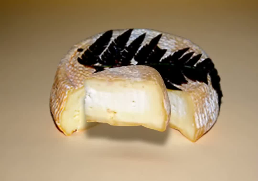 Quartier de tomme de brebis